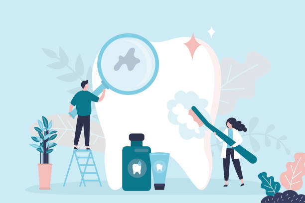 Professional  Holistic Dental Services in Columbus Grove, OH